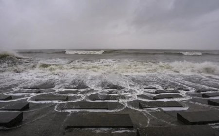 Dana Cyclonic Storm:चक्रवाती तूफान 'दाना' लैंडफॉल के बाद कहर बरपा रहा, जानिए अब तक कितना हुआ नुकसान?