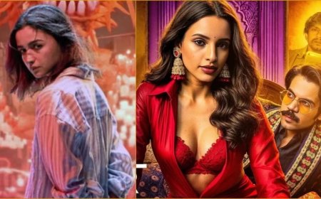 Bollywood News:बॉक्स ऑफिस की तृप्ति डिमरी अब नई क्वीन हैं? आलिया भट्ट को छोड़ा पीछे