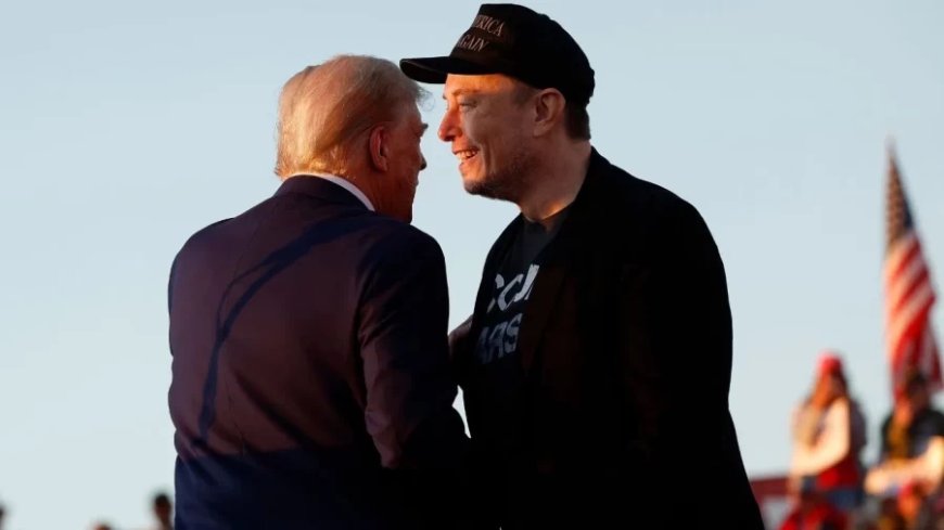 US Presidential Election: एलन मस्क को ट्रंप का समर्थन करने से क्या फायदा होगा?