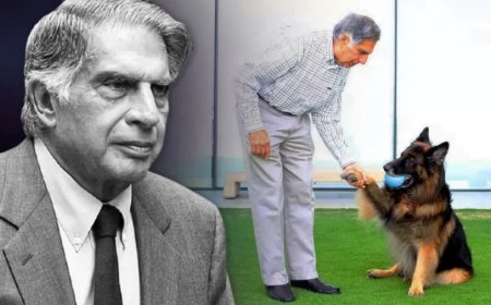 Ratan Tata News:टाटा ने कर दिया जाते-जाते ऐसा काम, पॉपुलर होने लगा ये नया ट्रेंड