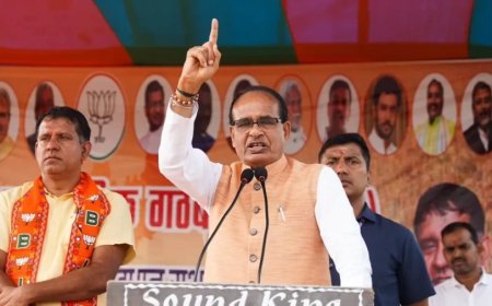 Jharkhand Elections 2024:'हेमंत सोरेन की सरकार सूखे पत्ते की तरह उड़ जाएगी'- शिवराज सिंह चौहान