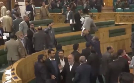 Jammu Kashmir Assembly:370 फिर बहाल हो, विधानसभा में प्रस्ताव पास, BJP ने काटा जमकर बवाल