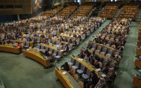 India-Pakistan Relations:UN में फिर कश्मीर पर पाकिस्तान ने बोला झूठ, भारत ने बजा दी बैंड