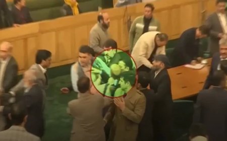 Jammu Kashmir Assembly: JK विधानसभा में बवाल, धारा 370 को लेकर विधायकों के बीच हुई मारपीट