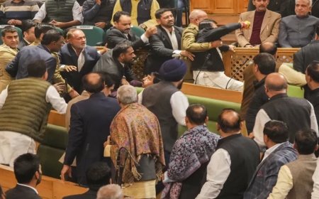 Jammu Kashmir Assembly:क्या 370 की वापसी संभव है? JK विधानसभा में हाथापाई वाले ड्रामे की पूरी पिक्चर जानिए