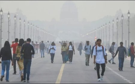 Delhi Air Pollution:दिल्ली में प्रदूषण का लेवल 500 पहुंचा, इन अंगों पर कर रहा है सीधा वार, कर लें ये उपाय
