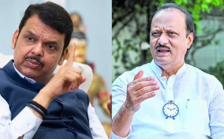 Maharashtra Politics: 'अजित हिंदू विरोधियों के साथ रहे', क्यों 'बंट' गए फडणवीस और पवार?
