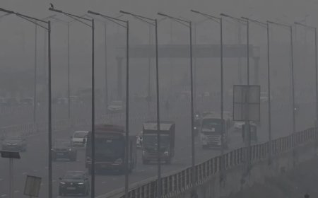 Delhi NCR Air Pollution:अगर नहीं हुए ये 5 काम तो दिल्ली में 'मौत की चादर' बिछेगी, बैन रहेगा बेअसर!