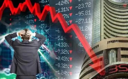 Share Market News:शेयर बाजार की गिरावट का म्यूचूअल फंड्स पर दिखा असर, तबाह हुए ये सेक्टर
