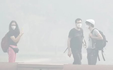 Delhi Air Pollution:दिल्ली में करने होंगे ये 7 उपाय, AQI आ जाएगा 500 से 50 पर