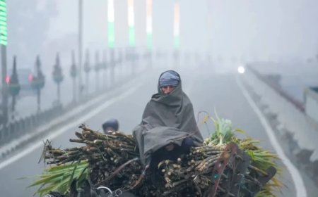 Delhi AQI Level:दिल्ली की हवा साफ हुई, कब पड़ेगी कड़ाके की ठंड, जानें कैसा रहेगा मौसम?