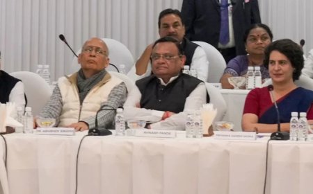 CWC Meeting News:EVM की बजाय बैलेट पर जाना होगा... प्रियंका का CWC बैठक में बड़ा बयान