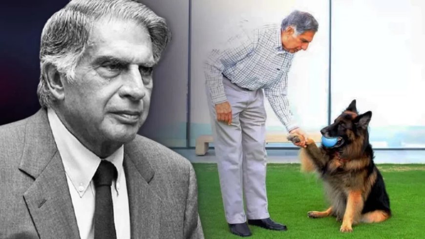 Ratan Tata News:टाटा ने कर दिया जाते-जाते ऐसा काम, पॉपुलर होने लगा ये नया ट्रेंड