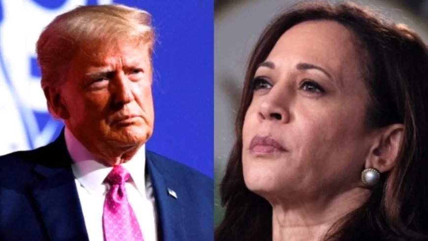 US Presidential Elections:चुनाव में वोट 24 करोड़, पर चंद हजार से भी कैसे हो जाता है 'खेला'?