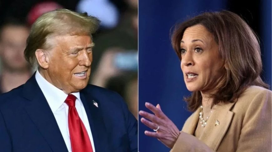 US Presidential Election:अमेरिका का कौन होगा अगला राष्ट्रपति, ट्रंप-हैरिस में किसका पलड़ा भारी?