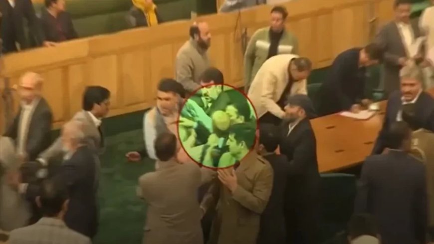 Jammu Kashmir Assembly: JK विधानसभा में बवाल, धारा 370 को लेकर विधायकों के बीच हुई मारपीट