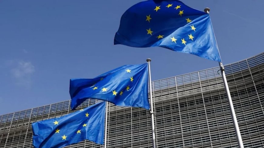 European Union:यूरोप में मचा ट्रंप की जीत से तहलका, 27 देश करेंगे अलग शिखर वार्ता