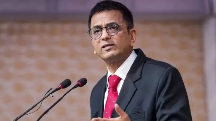 CJI DY Chandrachud:बुलडोजर के जरिए न्याय मंजूर नहीं... अपने आखिरी जजमेंट में बोले चंद्रचूड़