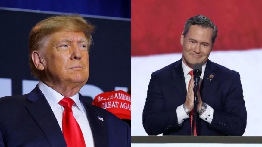 Donald Trump News:भारत के लिए अच्छी खबर! चीन के कट्टर आलोचक माइक वॉल्ट्ज को ट्रंप ने चुना NSA