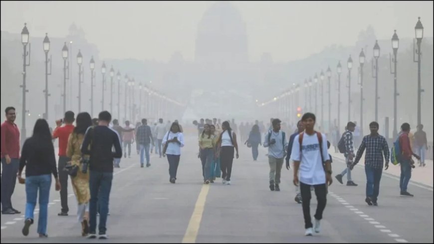 Delhi Air Pollution:दिल्ली में प्रदूषण का लेवल 500 पहुंचा, इन अंगों पर कर रहा है सीधा वार, कर लें ये उपाय