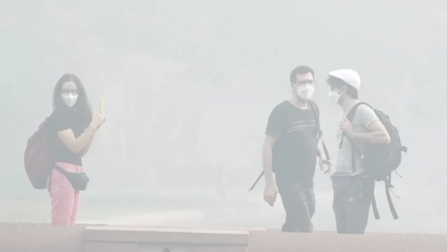 Delhi Air Pollution:दिल्ली में करने होंगे ये 7 उपाय, AQI आ जाएगा 500 से 50 पर