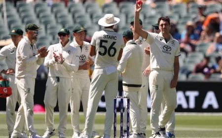 IND vs AUS:एडिलेड टेस्ट में ऑस्ट्रेलिया 10 विकेट से जीता, सीरीज 1-1 से बराबर