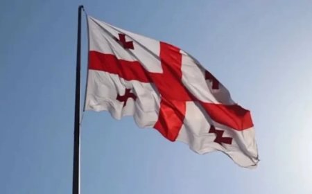 Georgia News:11 भारतीय नागरिकों की जॉर्जिया में दर्दनाक मौत, दूतावास ने जारी किया बयान, जानें कारण