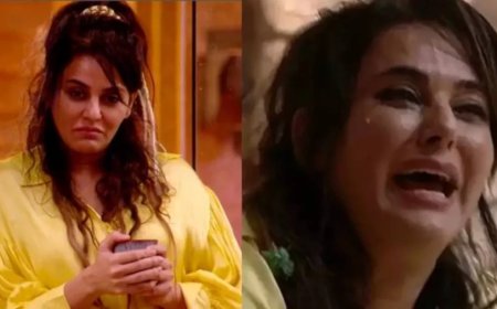 Bigg Boss 18:सारा अरफीन खान गुस्से में तिलमिलाईं, खोया आपा और जड़ दिया थप्पड़