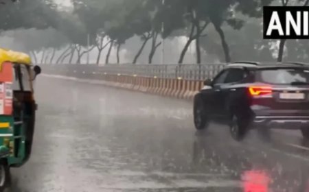 Delhi Weather Update:दिल्ली के कई इलाकों में बारिश, पड़े ओले, जानें कल कैसा रहेगा मौसम