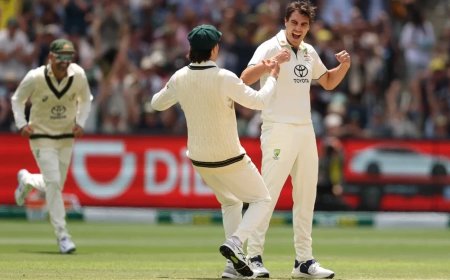IND vs AUS:चौथे टेस्ट के दूसरे दिन के अंत मे ऑस्ट्रेलिया की मजबूत पकड़- भारत 164/5, अभी भी 310 रन पीछे