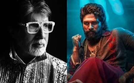 Amitabh Bachchan:बिग बी ने अल्लू अर्जुन का खुद को बताया फैन, 'पुष्पा 2' पर कही ये बात