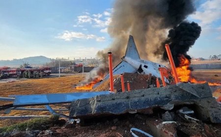 South Korea News:दक्षिण कोरिया में बड़ा हादसा, 181 लोगों को ले जा रहा विमान क्रैश, 28 लोगों की मौत