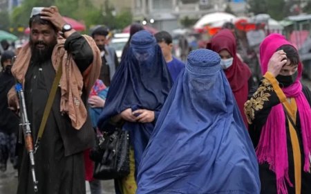 Afghanistan News:अफगानिस्तान में तालिबान का तुगलकी फरमान- महिलाओं को नौकरी दी तो...