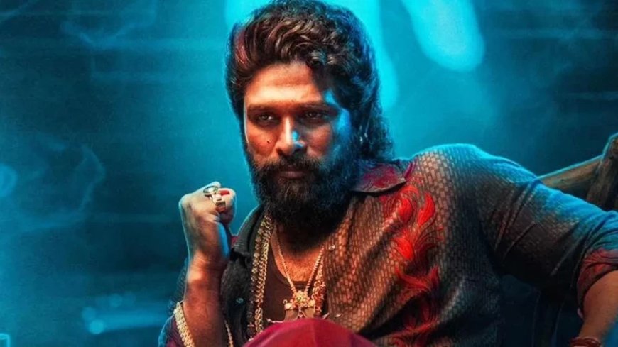 Pushpa 2 Review: कहानी से एक्शन तक, ये 5 वजहें हैं अल्लू अर्जुन की 'पुष्पा 2' देखने की