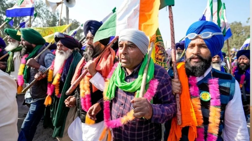 Farmers Protest News:आज किसान शंभू बॉर्डर पर ही रहेंगे, क्या है दिल्ली की तरफ कूच का प्लान?