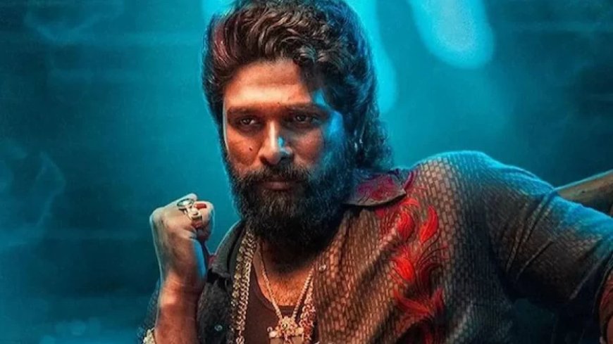 Allu Arjun News:अल्लू अर्जुन हुए गिरफ्तार, पुष्पा 2 एक्टर पर क्या है आरोप? जानें पूरा मामला