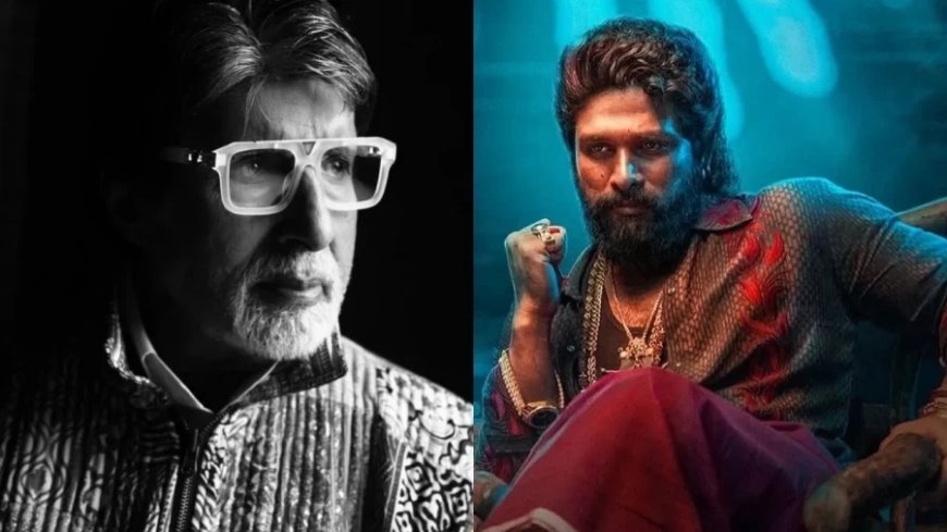 Amitabh Bachchan:बिग बी ने अल्लू अर्जुन का खुद को बताया फैन, 'पुष्पा 2' पर कही ये बात