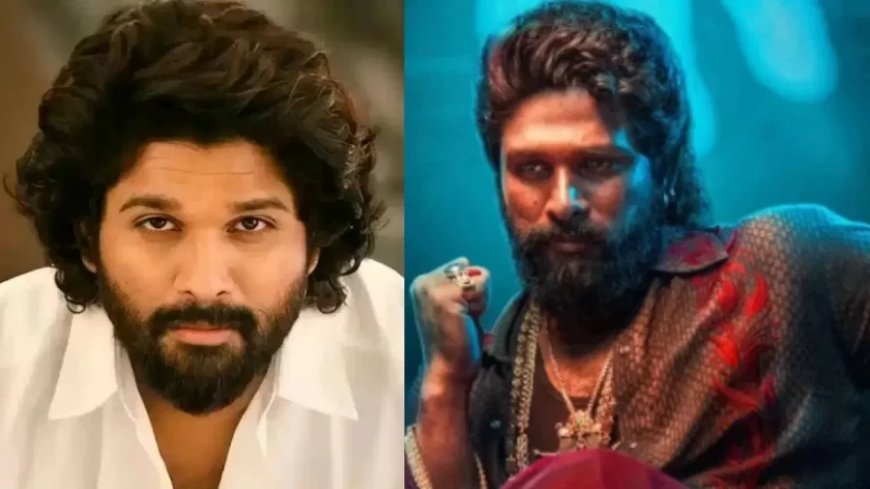 Pushpa 2 Movie:1700 करोड़ की दी ब्लॉकबस्टर, अब क्या करने वाले हैं अल्लू अर्जुन?