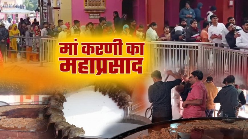 Karni Mata Deshnok:करणी माता मंदिर में 'सावन भादो कढ़ाई' महाप्रसादी- 17500 किलो प्रसाद