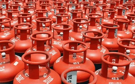 LPG Cylinder Price:नए साल का सरकार ने दिया गिफ्ट, LPG सिलेंडर हुआ सस्ता, जानें ताजा रेट