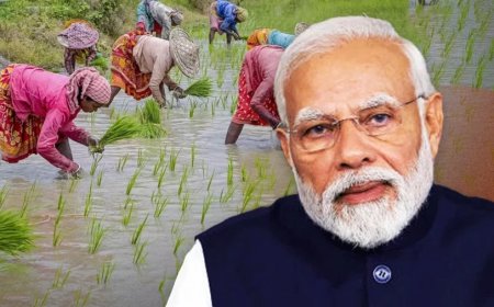 Modi 3.0 Government:किसानों को मोदी कैबिनेट ने दिया तोहफा, पीएम फसल योजना का आवंटन बढ़ा
