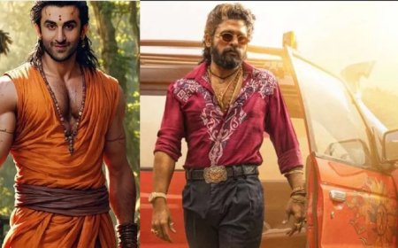 Ranbir Kapoor Movies:रणबीर कपूर की ये 2 फिल्में 'पुष्पा-2' के तूफानी रिकॉर्ड्स तोड़ेगी? फैन्स ने लगा डाली शर्त