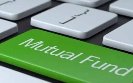 Mutual Fund Top Scheme:ये म्यूचुअल फंड 2025 में बना सकते हैं मालामाल, यहां समझें निवेश तरीका