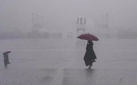 IMD Weather Update:दिल्ली-NCR में येलो अलर्ट, पहाड़ों पर भारी बर्फबारी, जानें अपने राज्य का मौसम