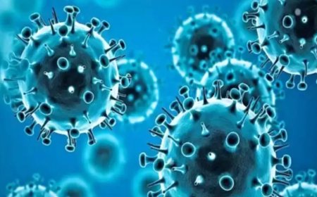 HMPV Virus In India:JK में स्वास्थ्य विभाग HMPV को लेकर अलर्ट, तैयार किया आइसोलेशन वार्ड