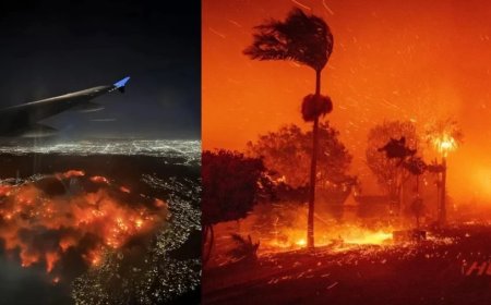 Palisades Fire:आग से कैलिफोर्निया तबाह- स्टार्स के बंगले खाक, 1 लाख से ज्यादा बेघर..