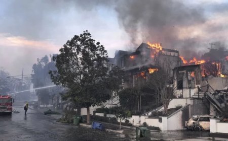Los Angeles Fire:अमेरिका की आग में जले करोड़ों के घर, क्या बीमा कंपनियां दोबारा बनवाएंगी सपनों का आशियाना?