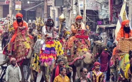 Mahakumbh 2025:महाकुंभ में कौन सा अखाड़ा किस समय करेगा संगम में अमृत स्नान? देखें लिस्ट