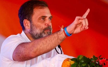 Delhi Election 2025:राहुल सीलमपुर से फूंकेंगे चुनावी बिगुल, साफ होगी कांग्रेस की पिक्चर?