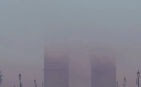 Delhi Weather Update:दिल्ली-NCR कोहरे की चादर में लिपटा, थमी रफ्तार, कई ट्रेन-184 फ्लाइट लेट